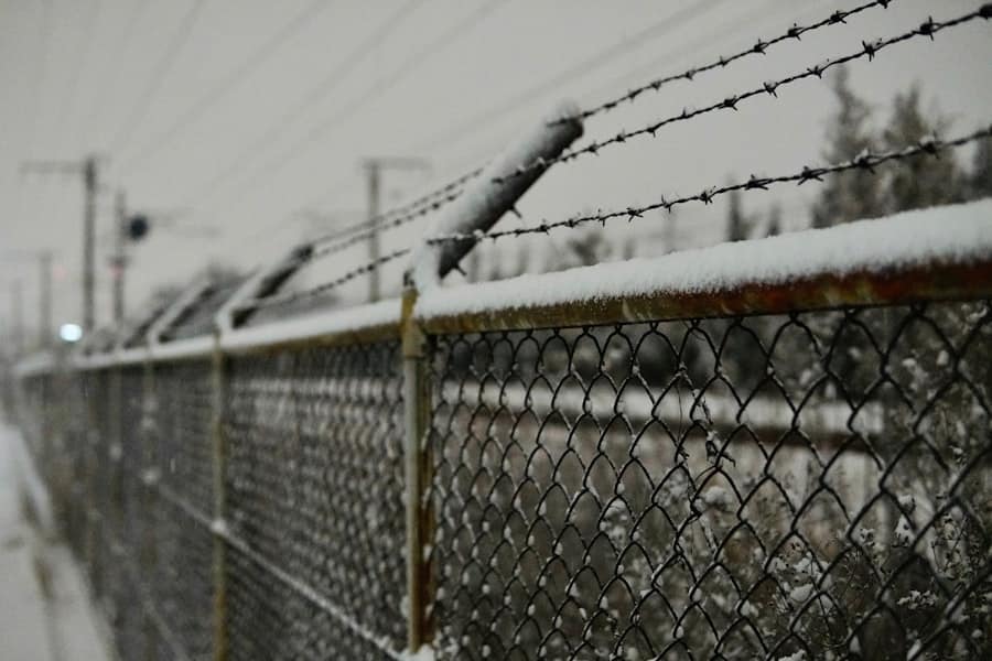 ICE Detentions Chicago