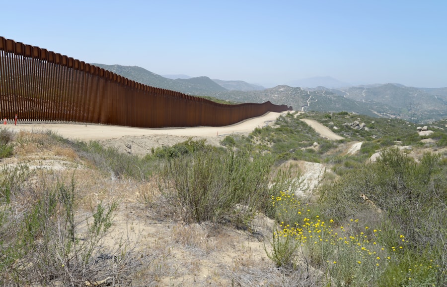 Immigration Enforcement