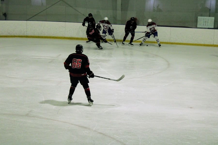 National Guard and ICE