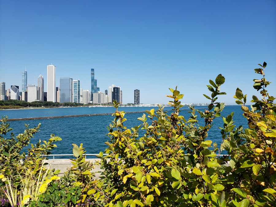 Chicagos Progressive Promise