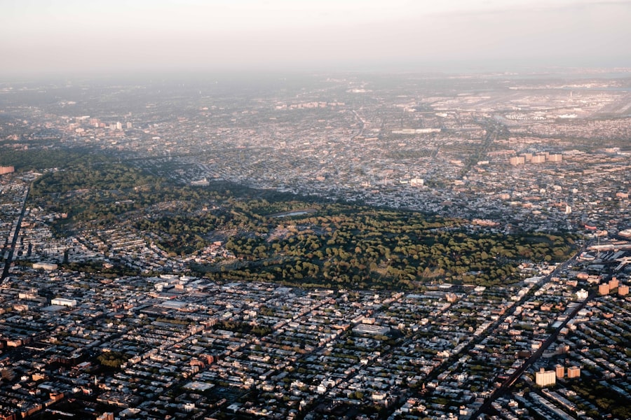 Sanctuary City Status