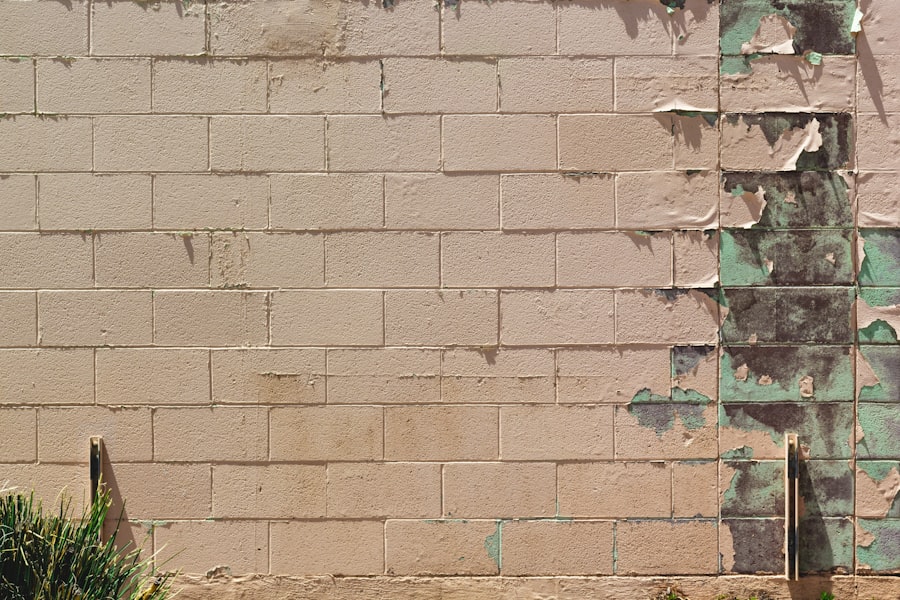 Immigrant Rights Groups