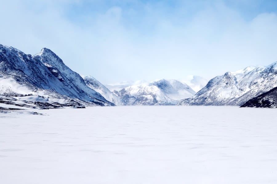 ICE