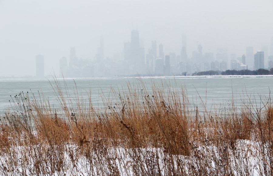 ICE Reshaping Chicago Neighborhoods