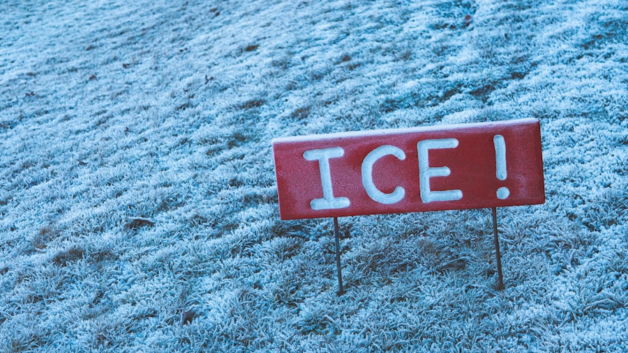 Photo ICE Raids