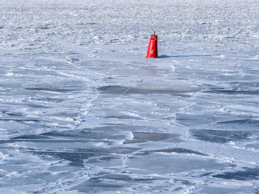 Photo ICE Enforcement Data