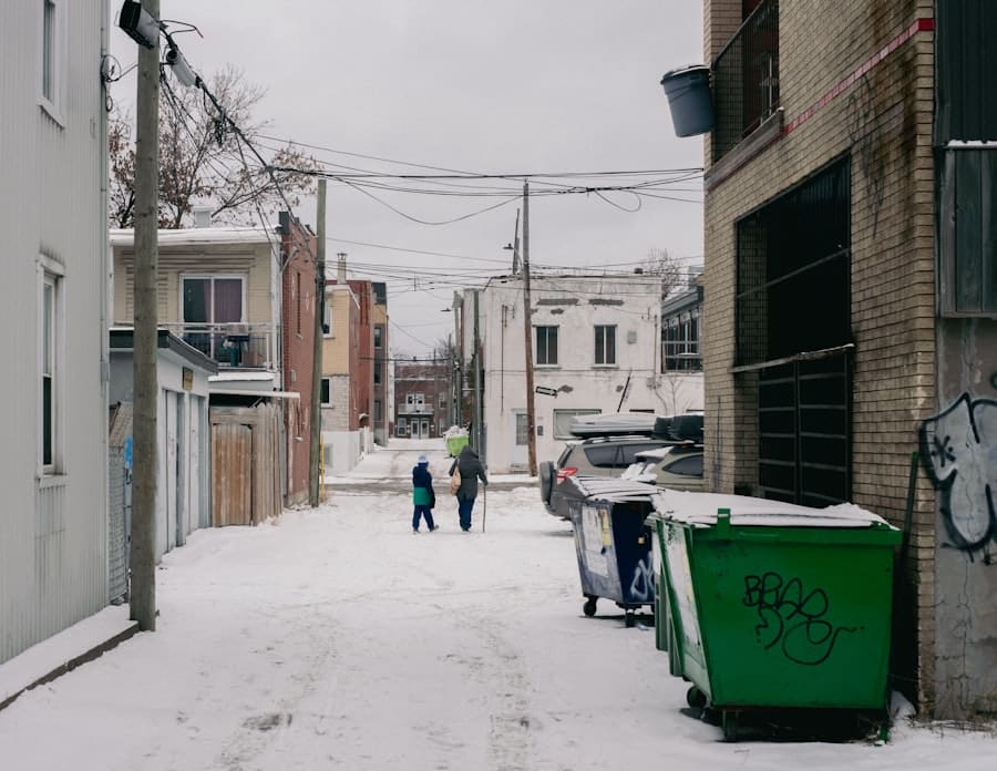 Photo ICE Reshaping Chicago Neighborhoods