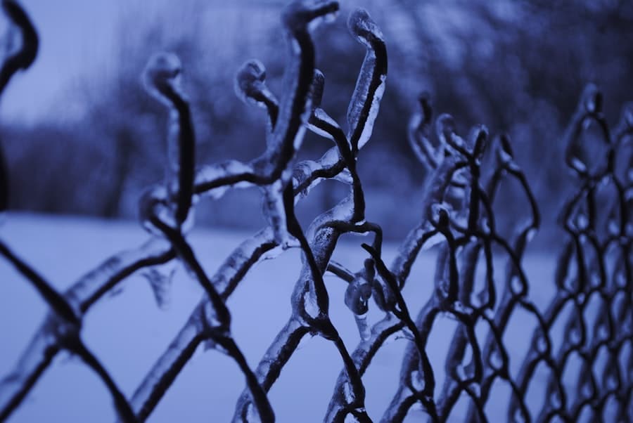 Photo ICE Detentions