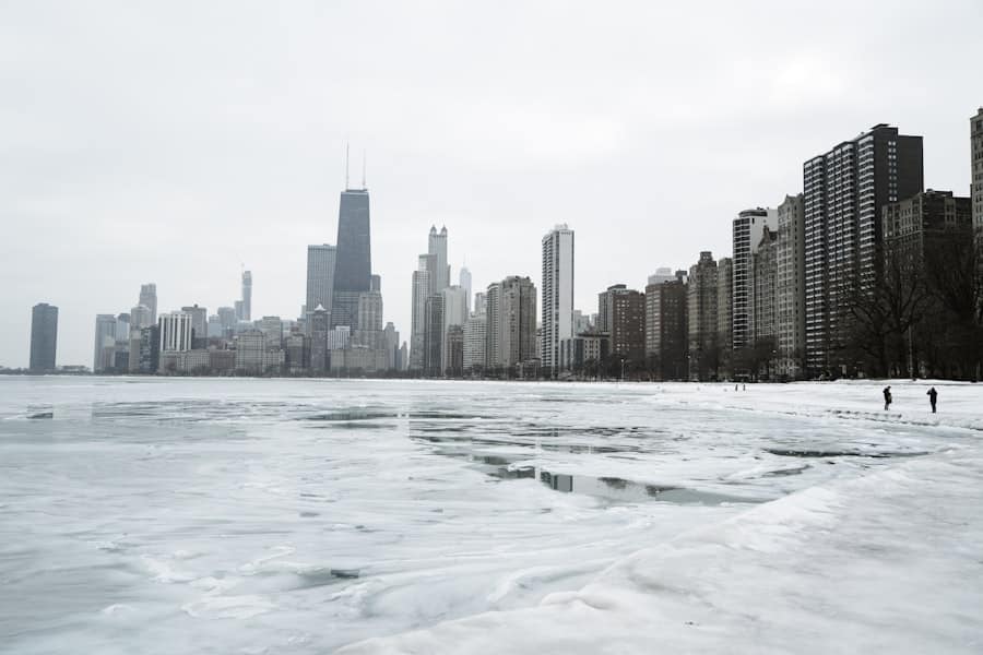 Photo ICE, Chicago, Political Landscape
