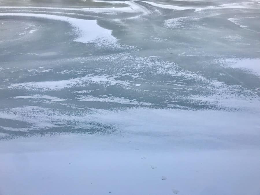 Photo ICE Operations Chicago