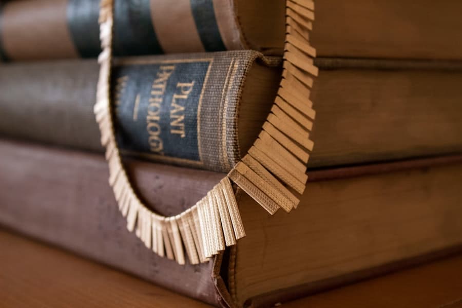 Photo Legal Aid Resources